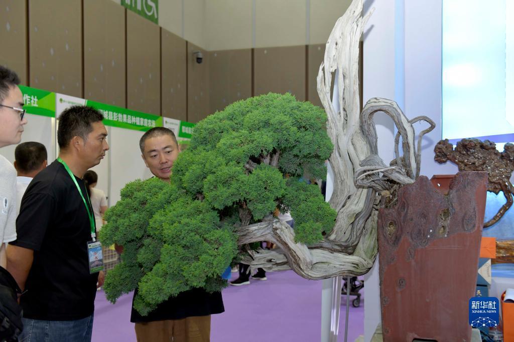 送分777拉霸游戏上下分